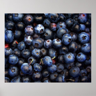 Poster Toile de myrtilles