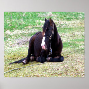 Poster Toile Jours Lazy