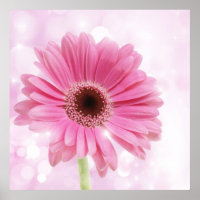 Toile rose marguerite