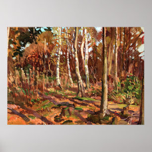 Poster Tom Thomson - Vue sur le parc Algonquin