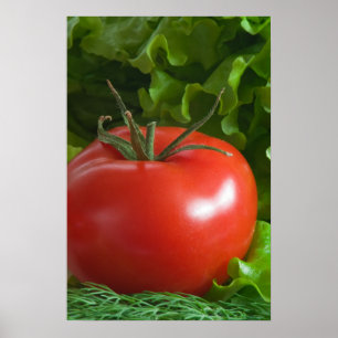 Poster Tomate