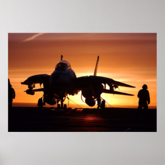 Poster Tomcat dans le golfe d'Alaska