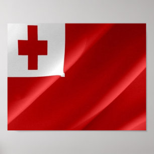 Poster Tonga - Drapeau d'agitation -