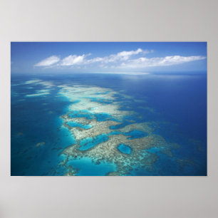 Poster Tongue Reef, Great Barriere Marine Park,