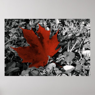 Poster tons automne
