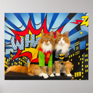 Poster Tony et Teddy, le Dynamic Maine Coon Duo