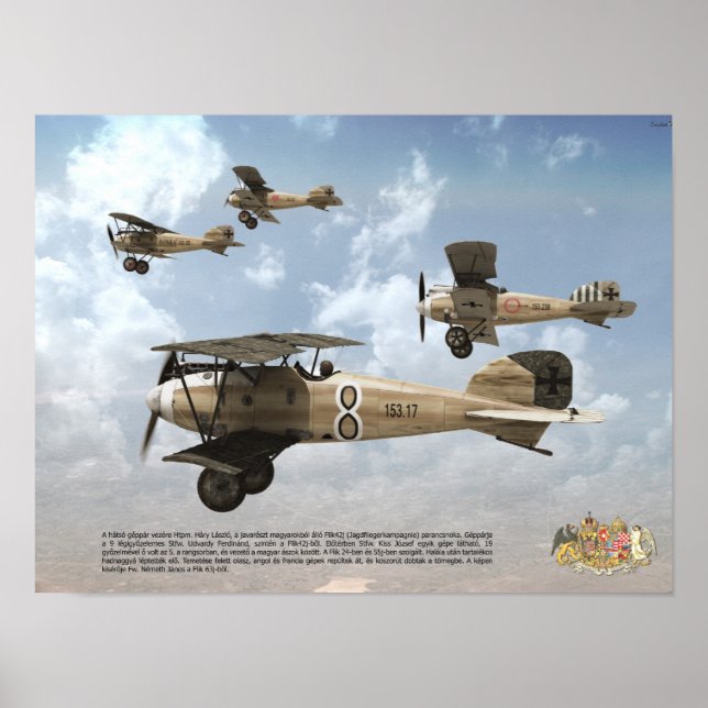 Poster Top As de l'armée de l'air austro-hongroise KuK (Devant)