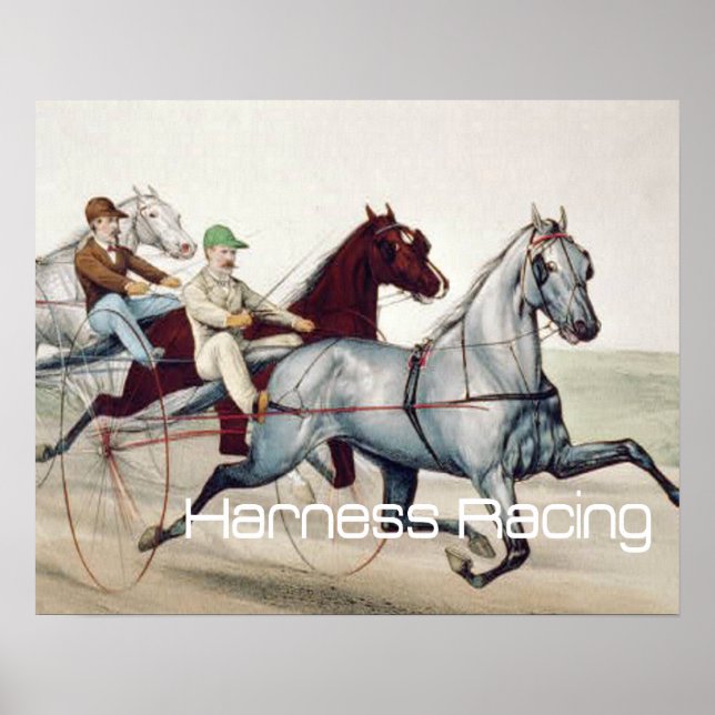 Poster TOP Harness Racing (Devant)