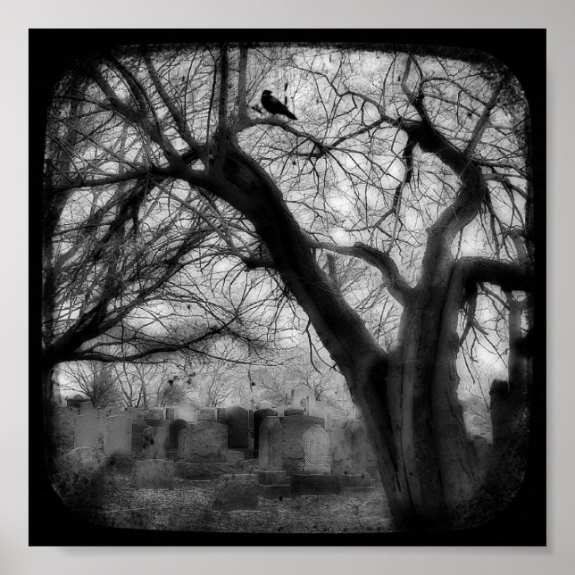 Poster tordu (Devant)