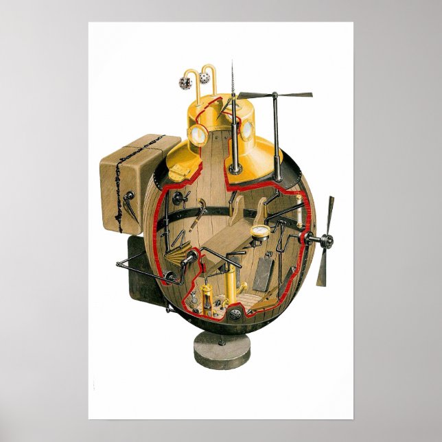 Poster Tortue (Devant)