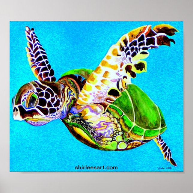 Poster tortue colorée (Devant)