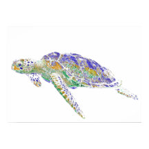 Tortue de mer