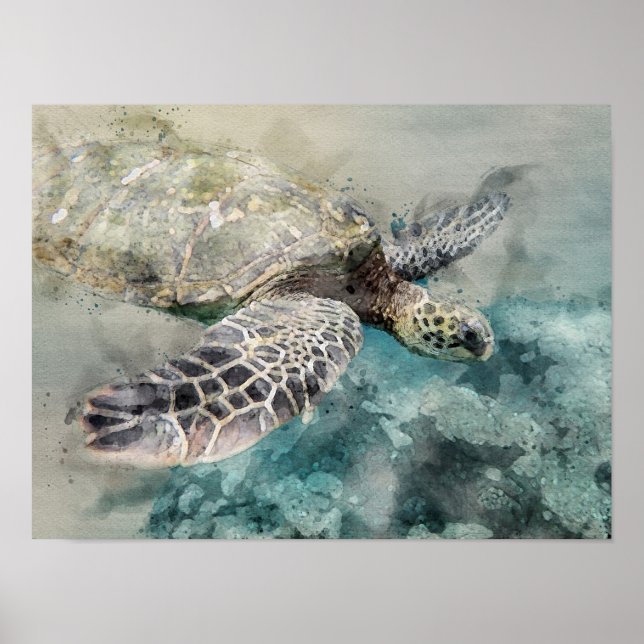Poster Tortue de mer (Devant)