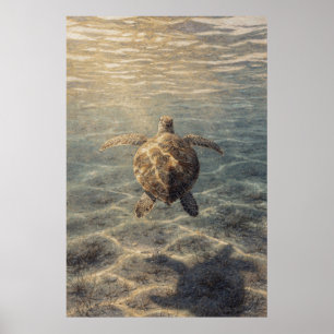 Poster Tortue de mer dans de l'eau bleu clair