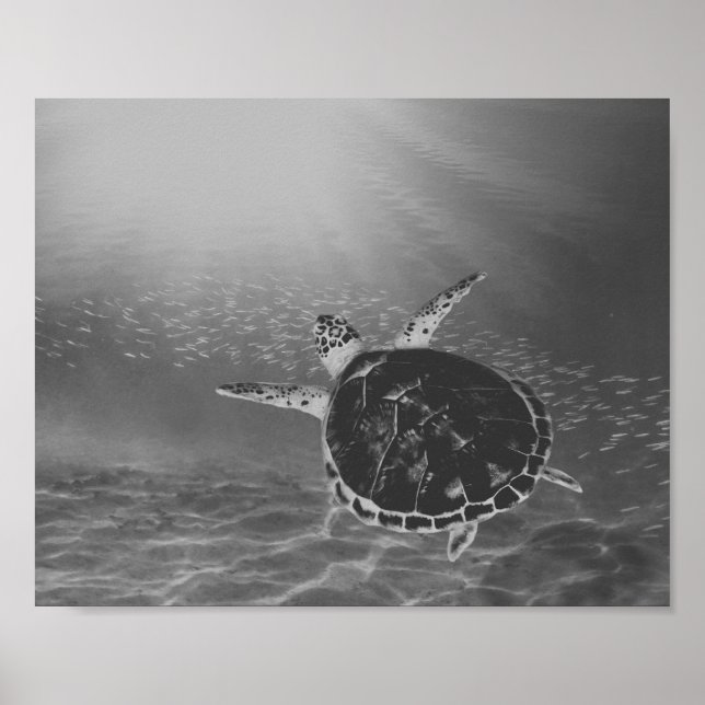 Poster Tortue de mer noire et blanche Tropical Printable  (Devant)