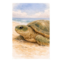 Tortue de mer Plage Océanique