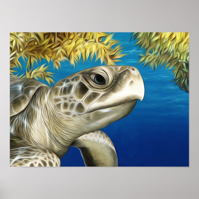 Poster Tortue de mer Ridley de Kemp (Devant)