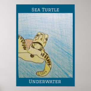 Poster Tortue de mer verte