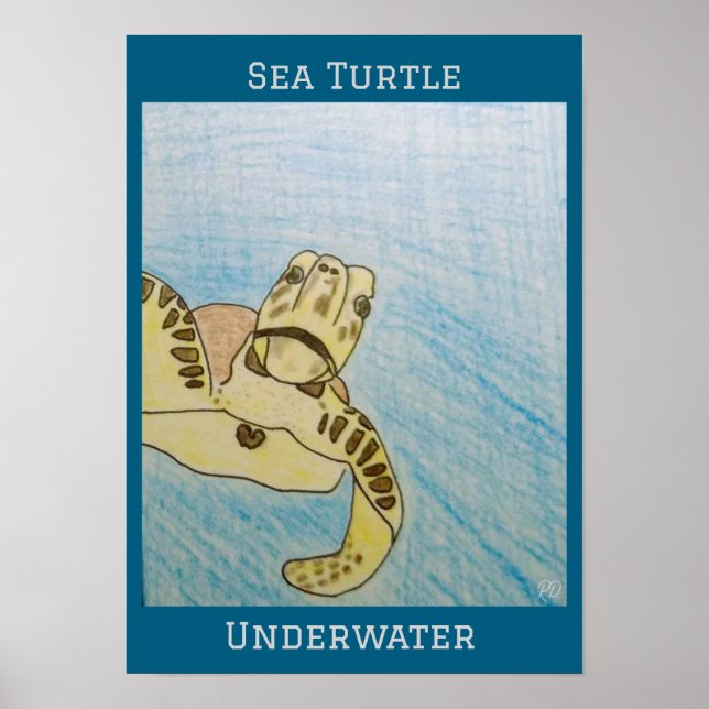 Poster Tortue de mer verte (Devant)