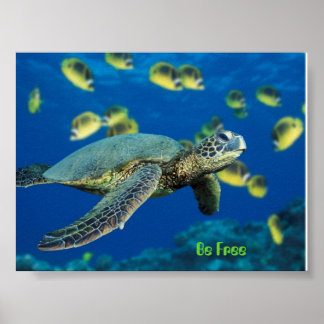 Poster Tortue de mer verte, soyez libre