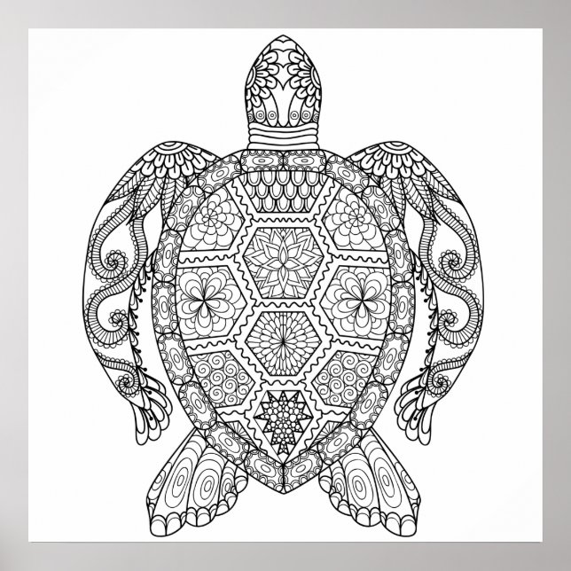 POSTER TORTUE MARINE (Devant)