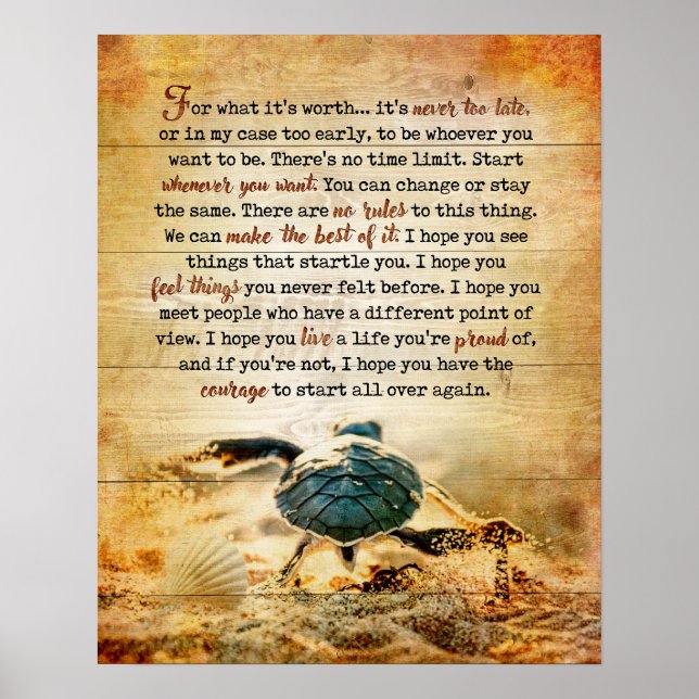 Poster Tortue Pour Quelle Inspiration Et Motivation (Devant)