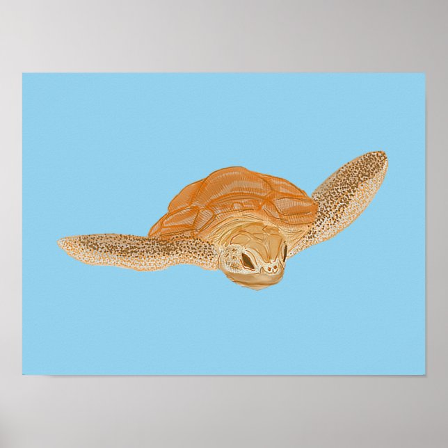 Poster Tortue sous l'eau - transparente. (Devant)