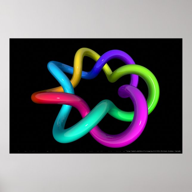 Poster Torus Twist (Devant)