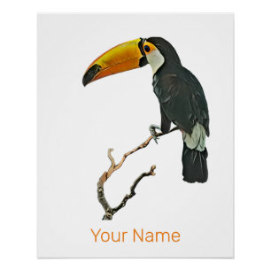 Poster Toucan Portrait Animal Tropical Bird Design