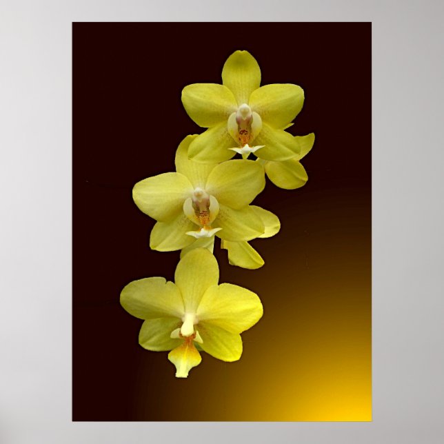 Poster Touche orientale (Devant)