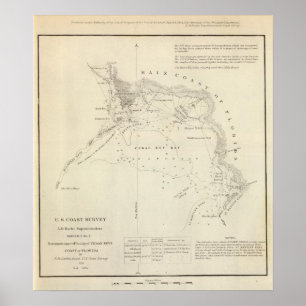 Poster Touches de cèdre, Fla