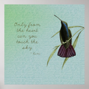 Poster Touchez le colibri du ciel