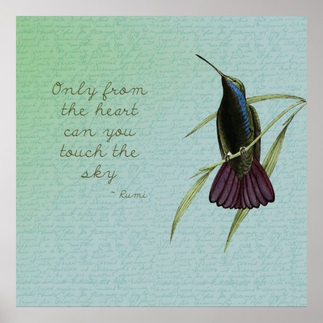 Poster Touchez le colibri du ciel (Devant)