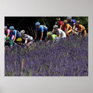 Poster Tour de France dans les lavandes