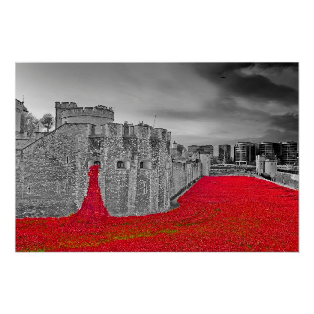 Poster Tour de Londres Poppies Rouges (Devant)