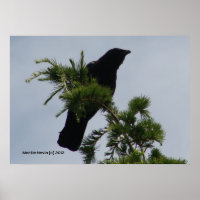 Tour de surveillance du corbeau