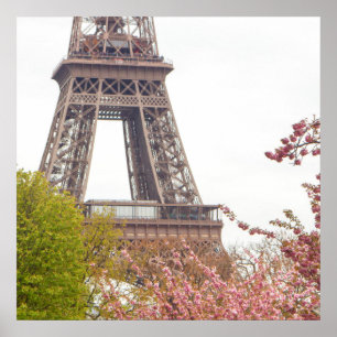 Poster Tour Eiffel et Fleurs de cerisiers