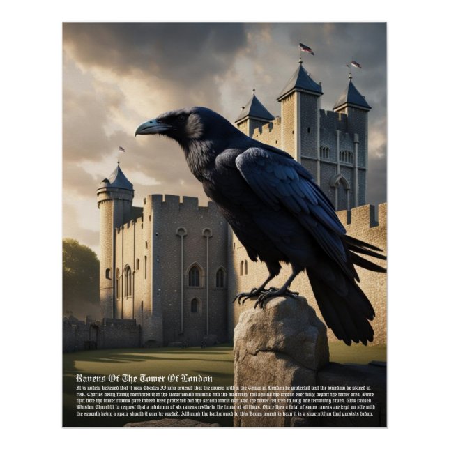 Poster Tour Raven De Londres (Devant)