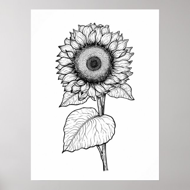 Poster Tournesol (Devant)