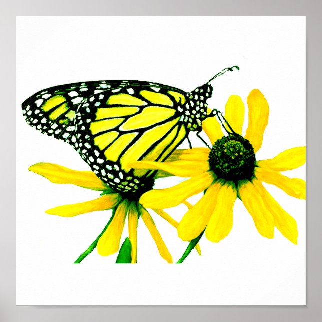 Poster Tournesol (Devant)