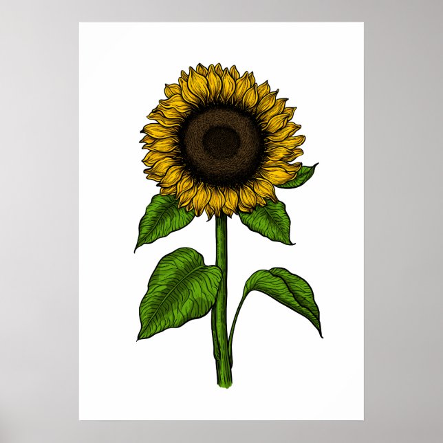 Poster Tournesol (Devant)
