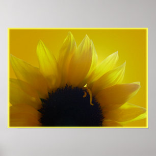 Poster Tournesol Art Imprimer Belle Fleur Art Imprimer