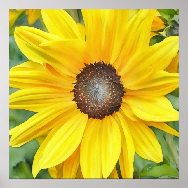 Poster Tournesol brillant Gros plan (Devant)