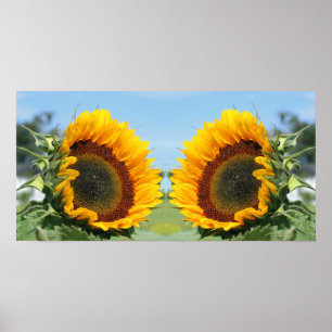 Poster Tournesol En Miroir Soleil Abstrait