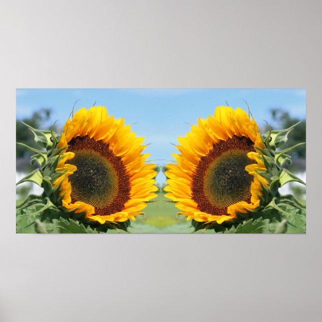 Poster Tournesol En Miroir Soleil Abstrait (Devant)