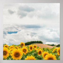 Poster Tournesol jaune rustique