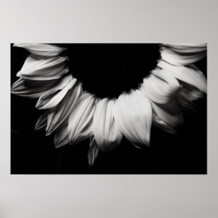 Poster Tournesol noir et blanc
