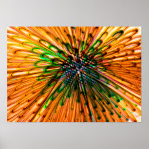 Poster Tournesol Organe