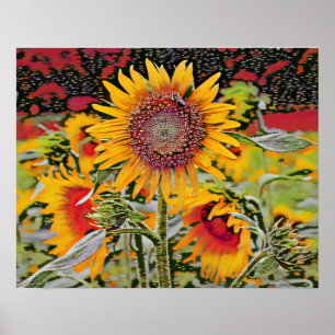 Poster Tournesol rose