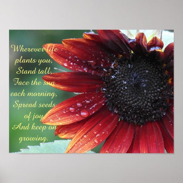 Poster Tournesol Rouge, Conseil Inspirant (Devant)
